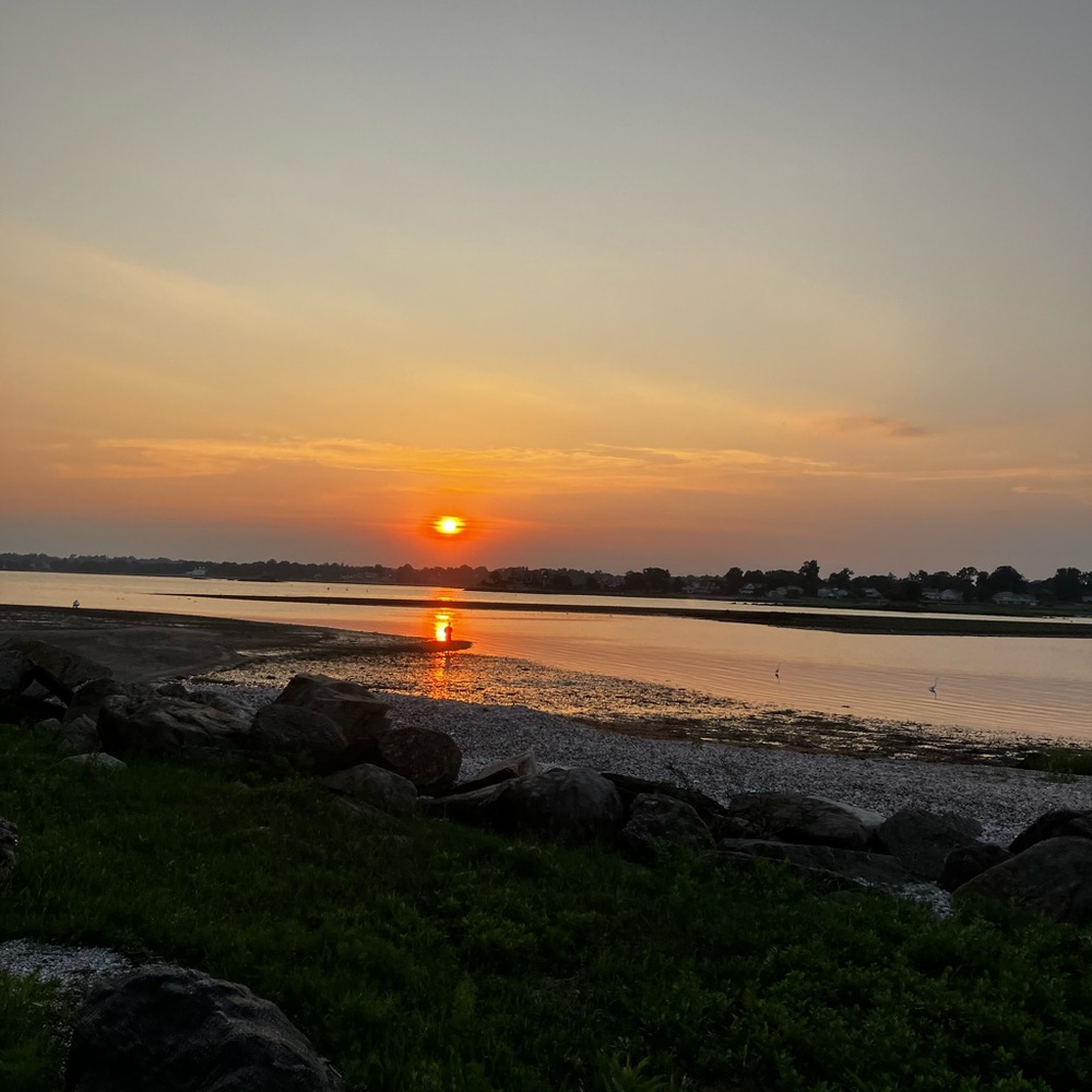 Meet your Posher, Carter